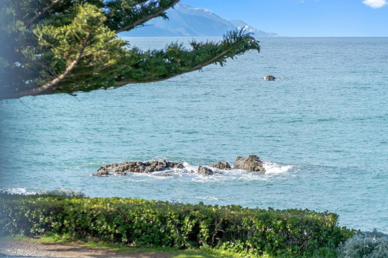 Kaikoura Waterfront Apartments Exteriör bild